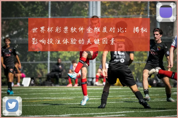世界杯彩票软件全维度对比：揭秘影响投注体验的关键因素