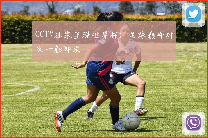 CCTV独家呈现世界杯:足球巅峰对决一触即发