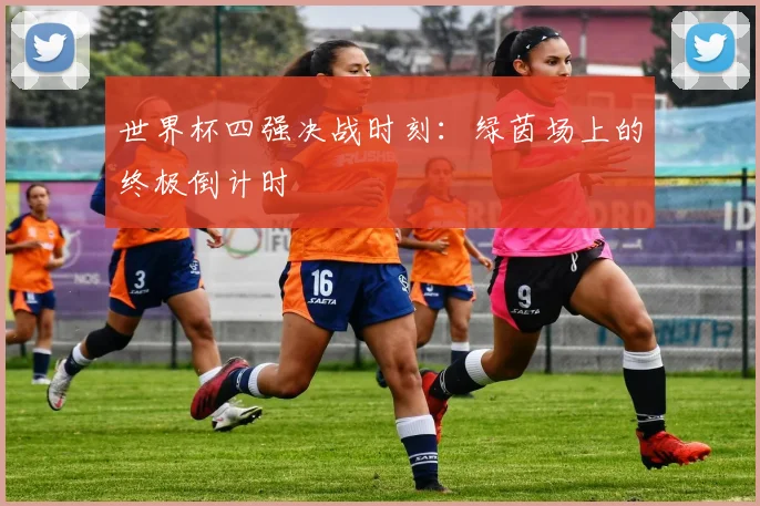 世界杯四强决战时刻:绿茵场上的终极倒计时