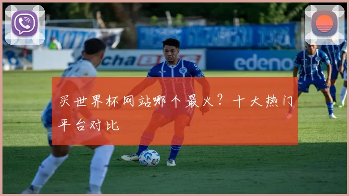 买世界杯网站哪个最火？十大热门平台对比