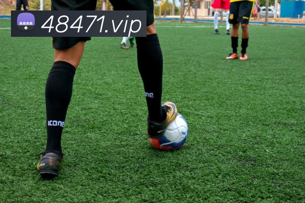 数据防护可视化